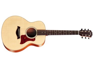 Taylor GS Mini