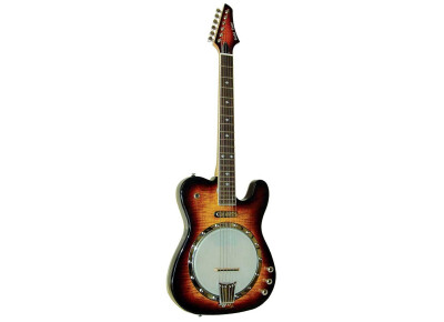 Gold Tone ES banjitar