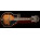 Voir la photo de la Washburn M6SW Washburn M6SW