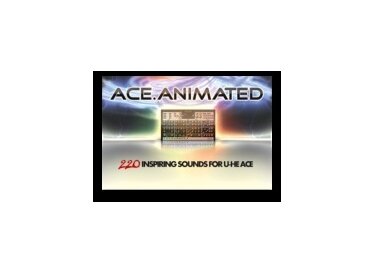 DNR Collaborative Ace.Animated