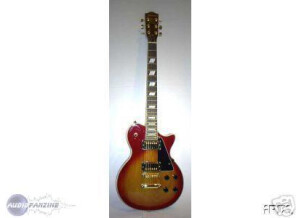 Johnson Guitars Les Paul
