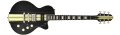 Reverend Rick Vito Signature Model