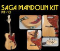Saga mandolin electrique