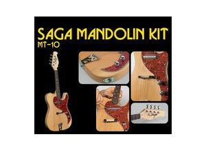 Saga mandolin electrique