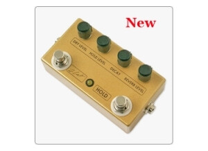 Z.Cat Hold Reverb