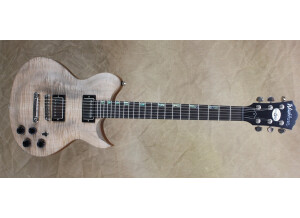 Washburn WI568