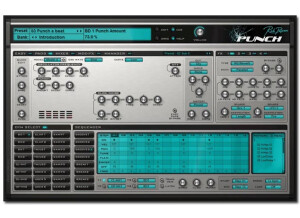 Rob Papen Punch