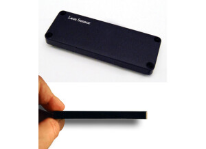 Lace Music USAB - Ultra Slim Acoustic Bass