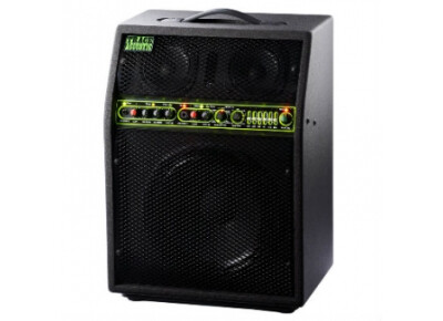 Trace Acoustic TA 300