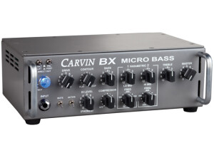Carvin BX250 Micro Bass Head