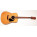 See the photo of the Epiphone PR-200 Epiphone PR-200