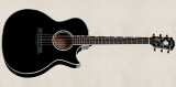 [NAMM' Taylor Doyle Deluxe Guitar