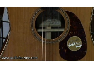 Guitares Boucher Gold Touch Option