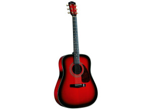 Fender DG-22S