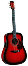 Fender DG-22S
