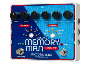 Electro-Harmonix Deluxe Memory Man 1100-TT