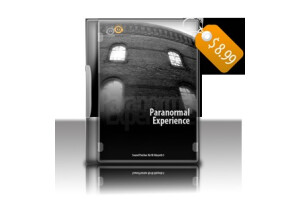 Analog Factory Paranormal Experience