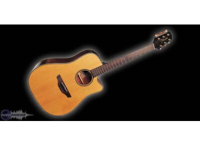 Takamine EG10SC