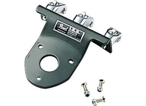 Pearl ISS Mounting System