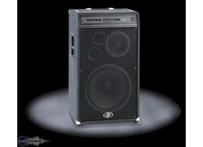 Ampeg B-3158