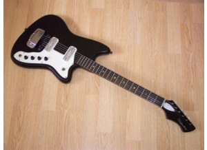 Silvertone Bobkat