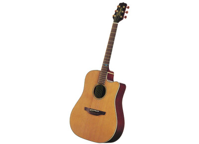 Takamine ESF10C