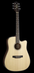 Takamine EG511SSC
