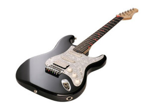 Fretlight Guitar FG-421