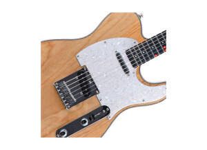 Fretlight Guitar FG-431 Vintage Electric