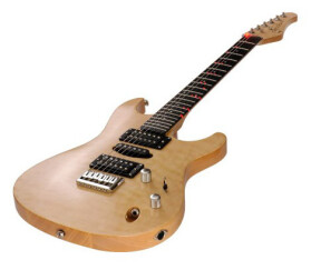 Les guitares Fretlight compatibles Guitar Pro 6