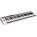 See the photo of the ESI KeyControl 49 XT ESI KeyControl 49 XT