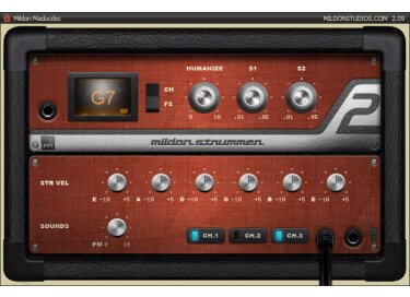 Mildon Studios Strummer 2