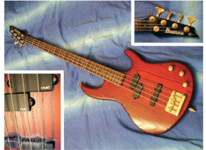 Ibanez TRB200