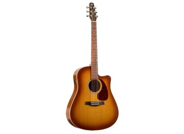 Seagull Entourage CW QI