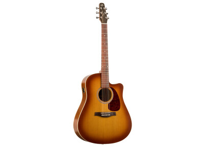 Seagull Entourage CW QI