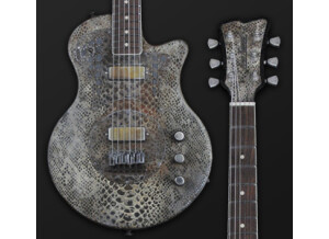 James Trussart SteelPhonic