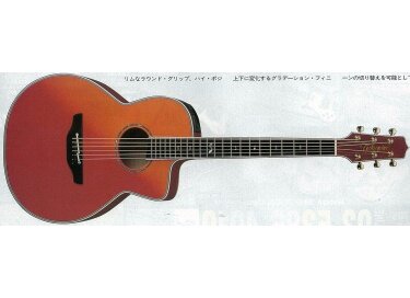 Takamine DSP615