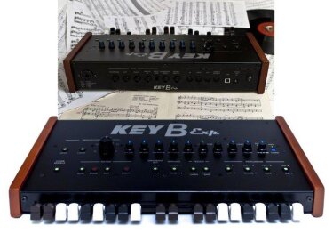 KeyB Organ Exp