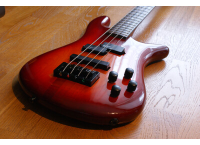 Spector NS2A