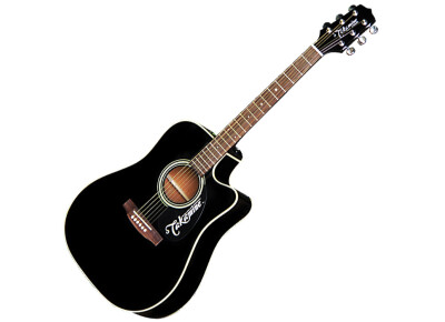 Takamine EG321C