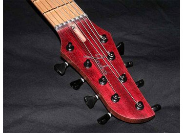 Jaden Rose Guitars Spider Hz