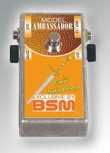 Bsm Ambassador