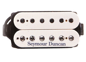Seymour Duncan Pearly Gates Plus