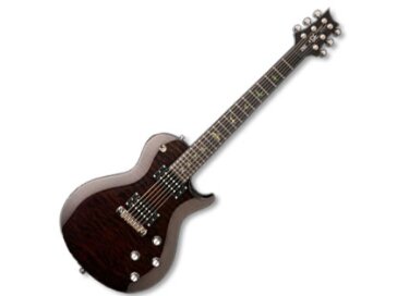 PRS SE Fredrik Åkesson