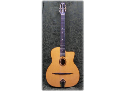 Gitane DG-300 John Jorgenson