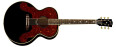 Gibson Billie Joe Armstrong J-180
