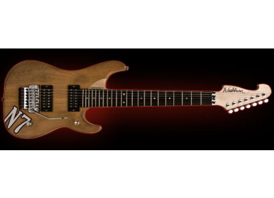 Washburn N7
