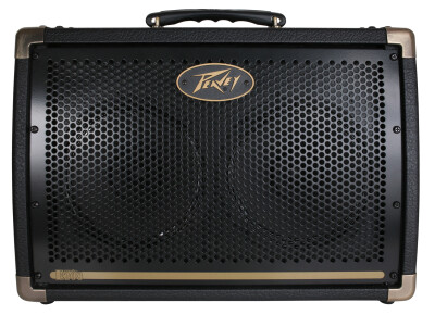 Peavey Ecoustic E208