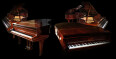 Imperfect Samples Steinway 1908 Walnut Concert Grand