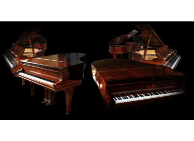 Imperfect Samples Steinway 1908 Walnut Concert Grand
